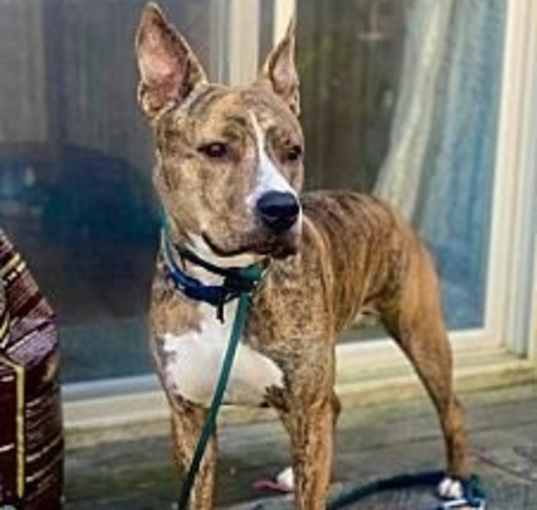 Photo of Mason Boy