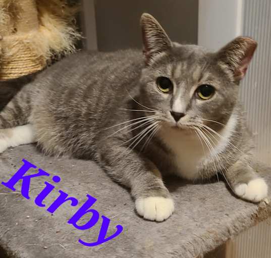 Photo of Kirby