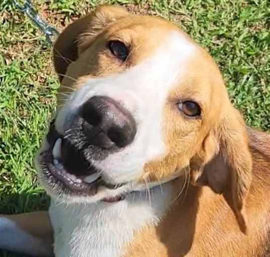 Photo of Wrangler