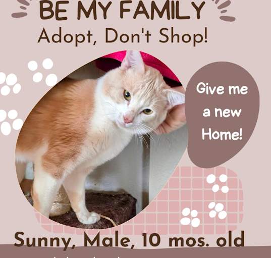 Photo of Sunny