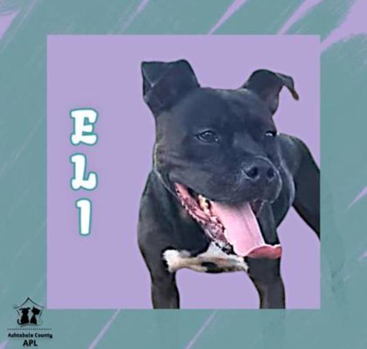 Photo of Eli