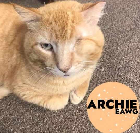 Photo of Archie