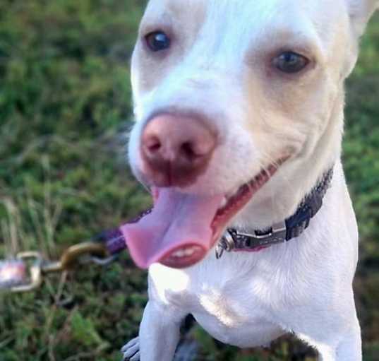 Photo of Oddie