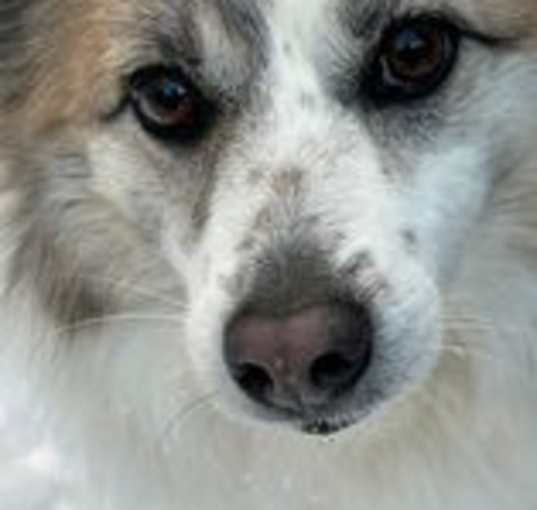 Photo of Nora