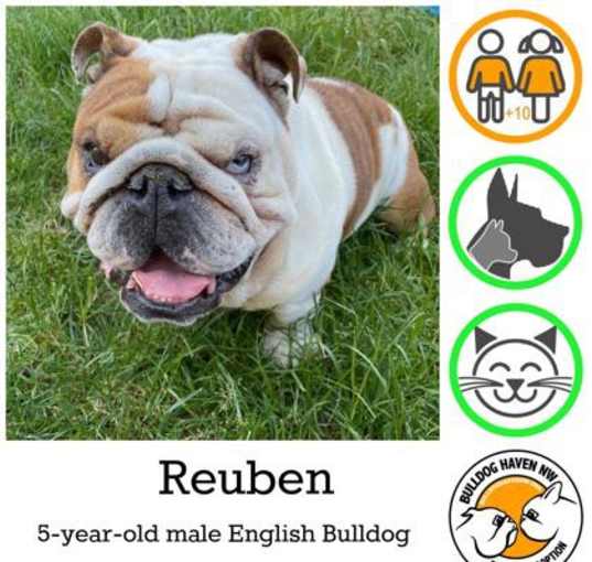 Photo of Rueben