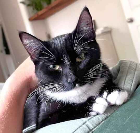 Photo of Yin