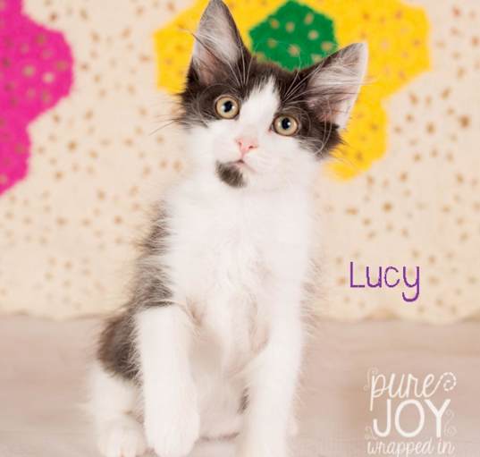 Photo of Lucy