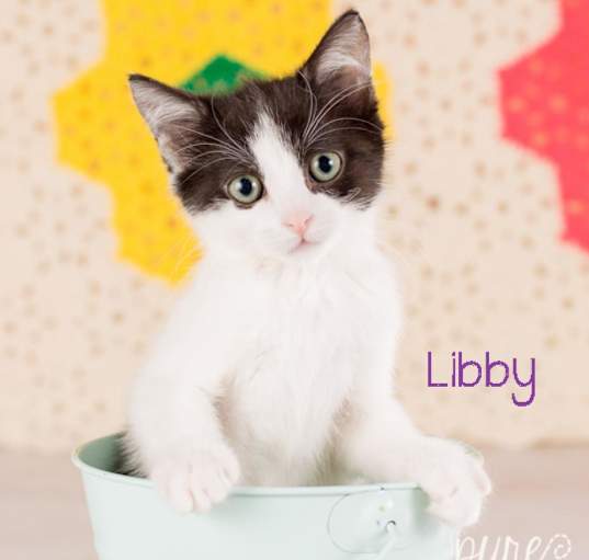 Photo of Libby