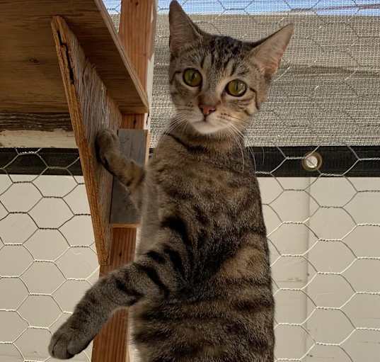 Photo of Nana