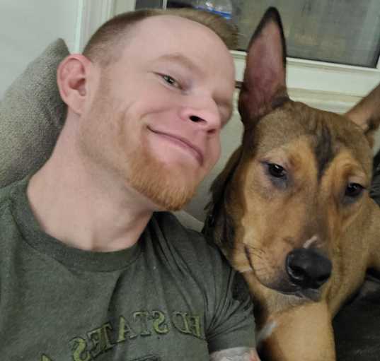 Photo of Dingo