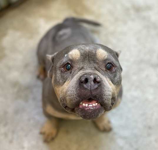 Photo of Missy