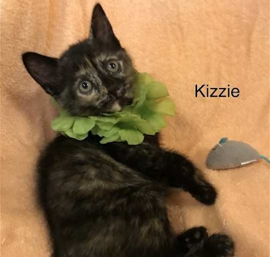 Photo of Kizzie