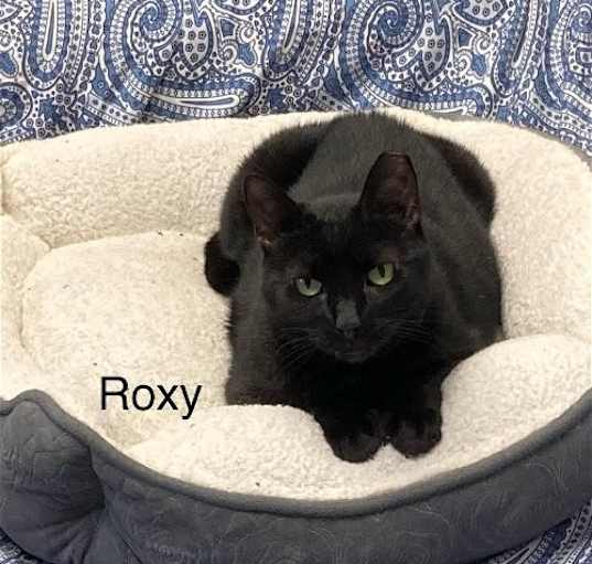 Photo of Roxy