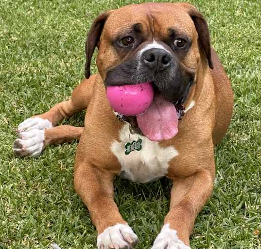 Photo of Buford