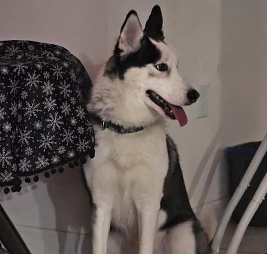 Photo of Aurora