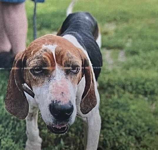 Photo of Mavis