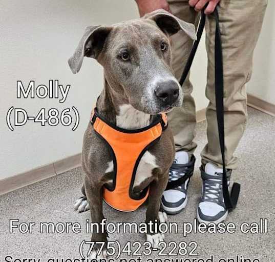 Photo of Molly