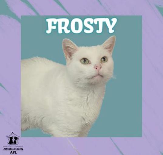 Photo of Frosty