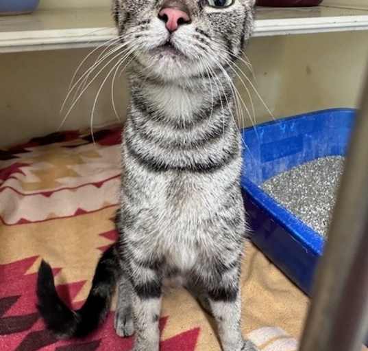 Photo of Yzma