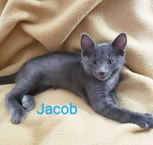 Photo of Jacob