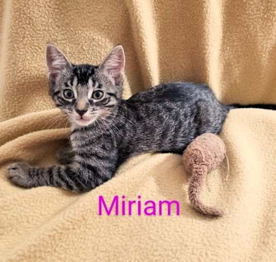 Photo of Miriam