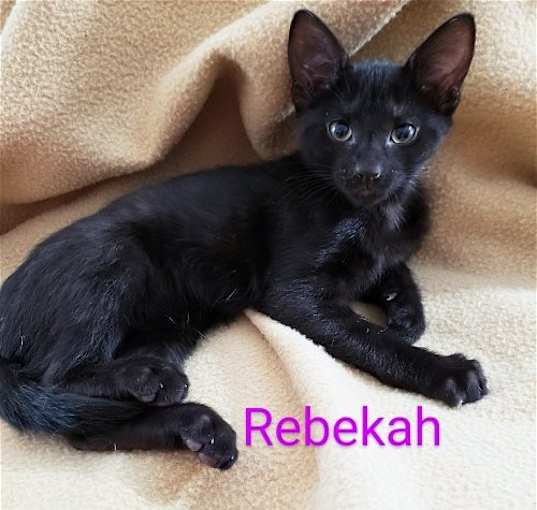 Photo of Rebekah