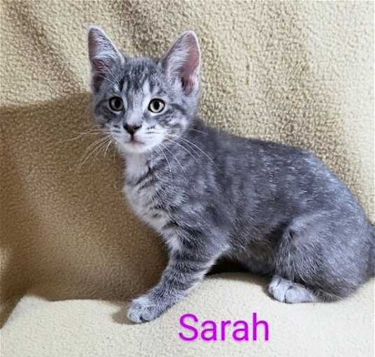 Photo of Sarah