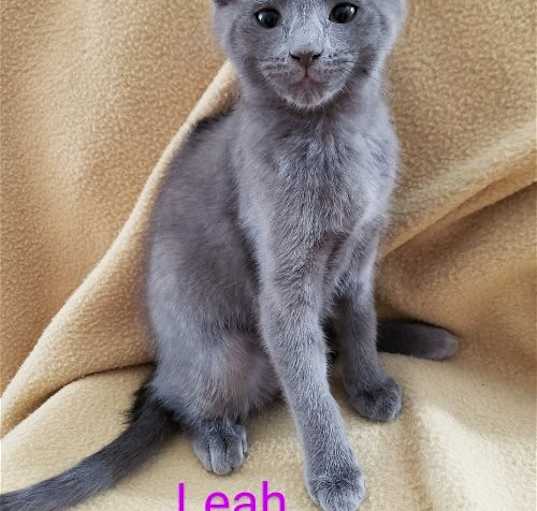 Photo of Leah