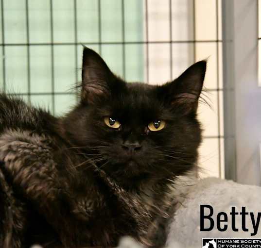 Photo of Betty