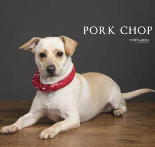 Photo of Pork Chop