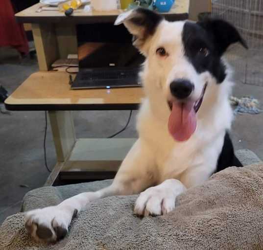 Photo of Willy