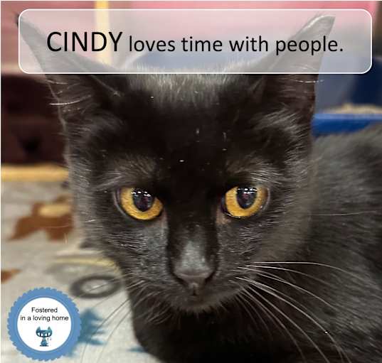 Photo of Cindy