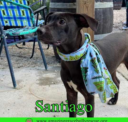 Photo of Santiago