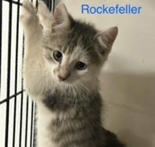 Photo of Rockefeller