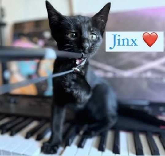 Photo of Jinx