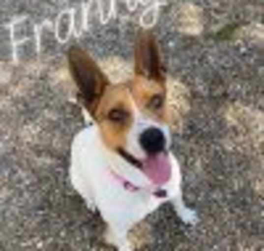Photo of Franny