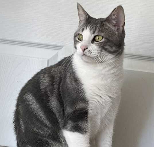 Photo of LEO STARBUCK
