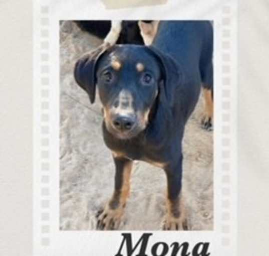 Photo of Mona