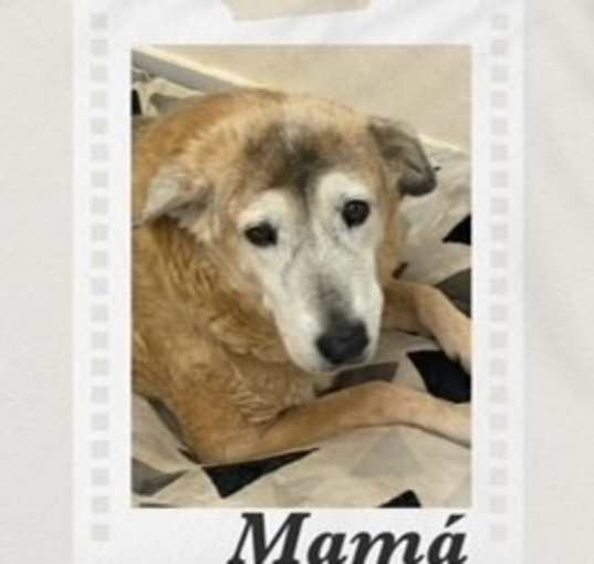 Photo of Mama