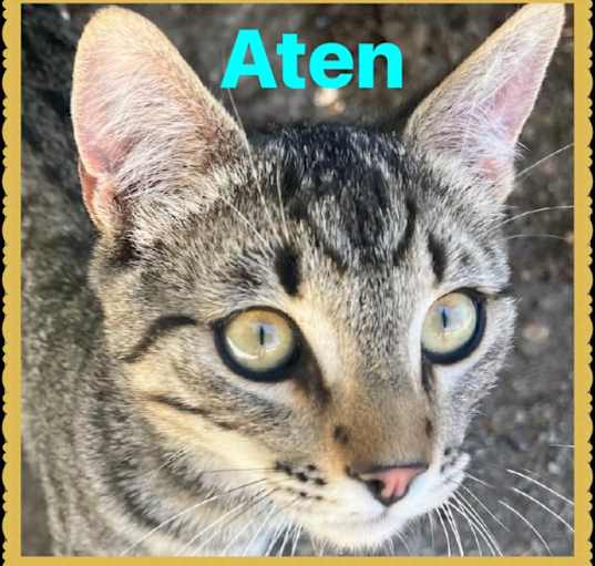 Photo of Aten