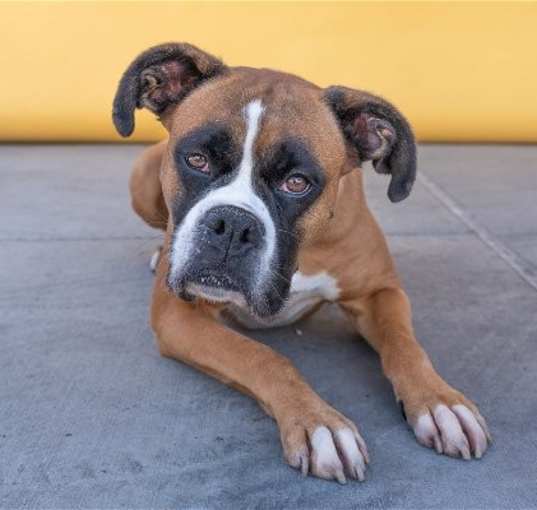 Photo of LUCY