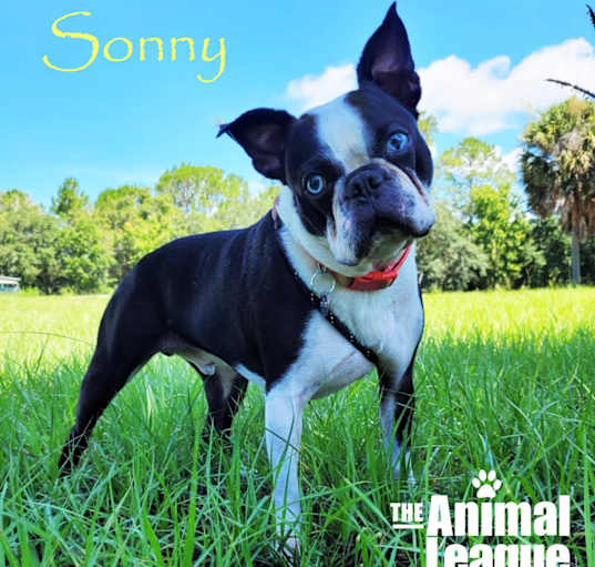 Photo of Sonny