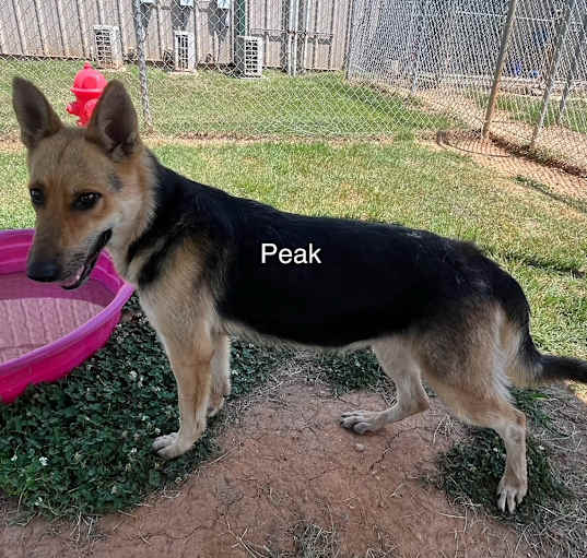 Photo of Peak