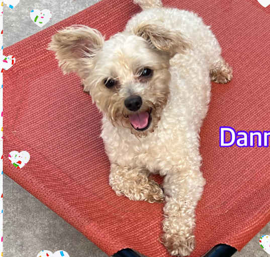 Photo of Danny