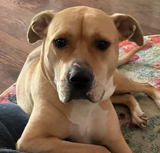 Photo of Dottsy