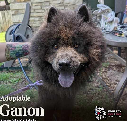 Photo of Ganon