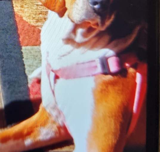 Photo of Ellie