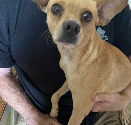 Photo of Billy