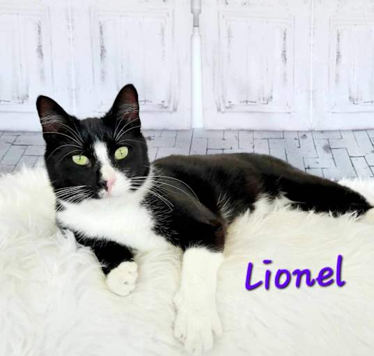 Photo of Lionel