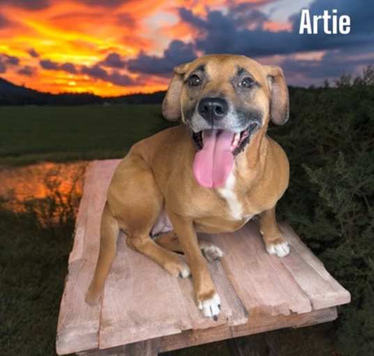 Photo of Artie